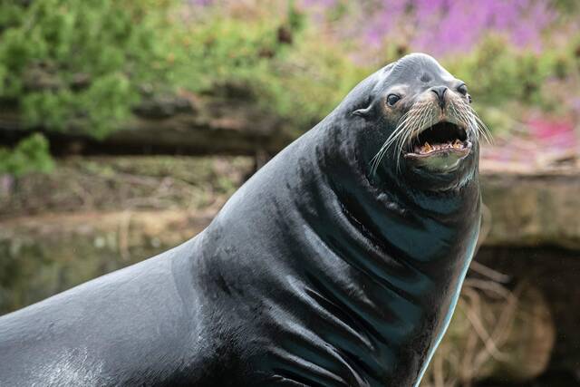 7076908_web1_gtr-amroundup-seal-022324