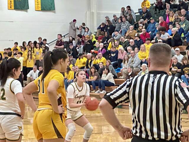 Blackhawk makes adjustments, rolls past Greensburg Salem in WPIAL quarters