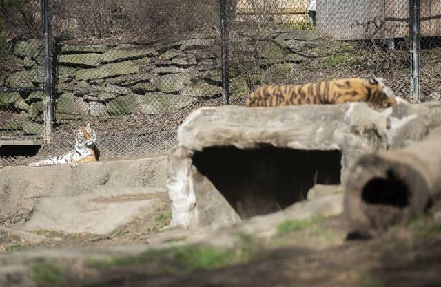 7089016_web1_ptr-ZooAnimals6