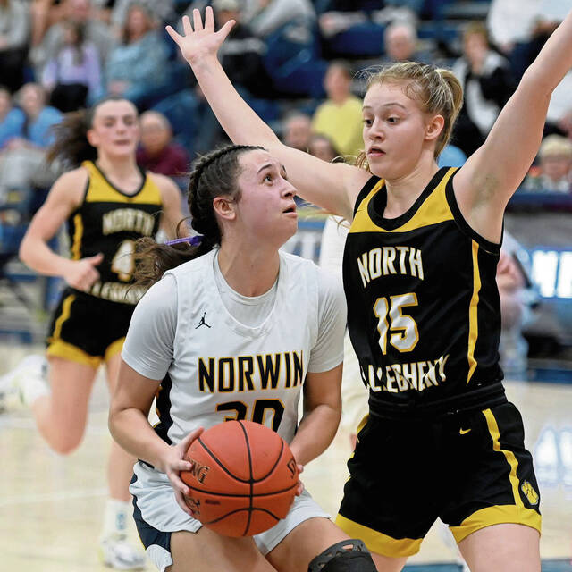 Norwin coach Brozeski brings big-picture perspective to title game