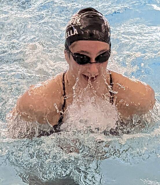A-K Valley swimmers hope to turn high seeds into gold at WPIAL championships
