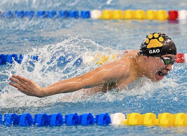 North Allegheny swimmers claim 8 gold medals on 1st day of WPIAL Class 3A swimming championships