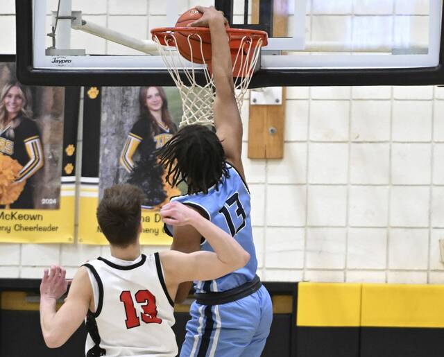 Neighborhood rival Burrell aims to dethrone defending champion Deer Lakes in WPIAL final