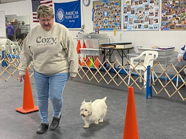 7066822_web1_gtr-DogTraining7-022024