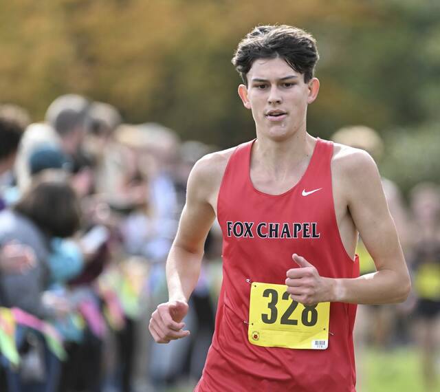 Fox Chapel track standouts pick up medals at indoor state meet