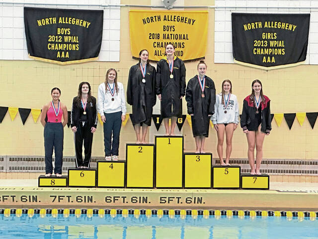 North Allegheny divers follow different routes to WPIAL success