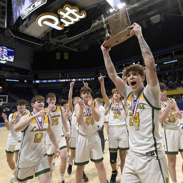 Deer Lakes tops rival Burrell to win 2nd straight WPIAL Class 3A title