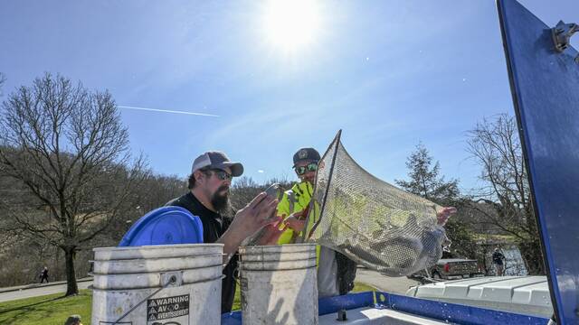 7105208_web1_VND-LO-TroutStok2-030524