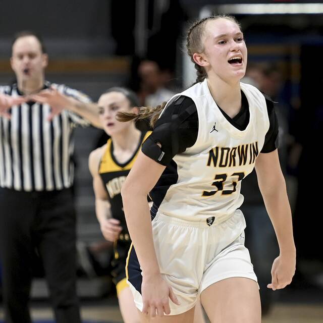 WPIAL champion Norwin girls ‘refused to be outworked’ on title run