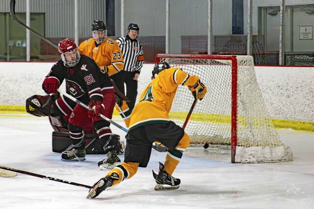 7108293_web1_gtr-SaintVincenthockey1-030424