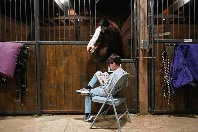 7114119_web1_gtr-horsesread004-022824
