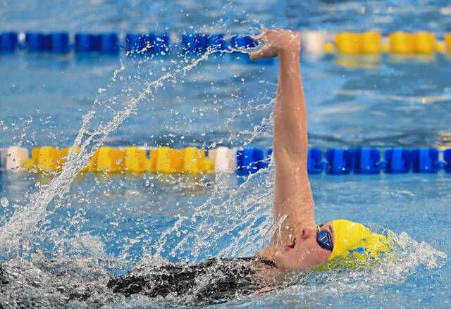 Hampton sophomores bring home WPIAL swimming and diving gold