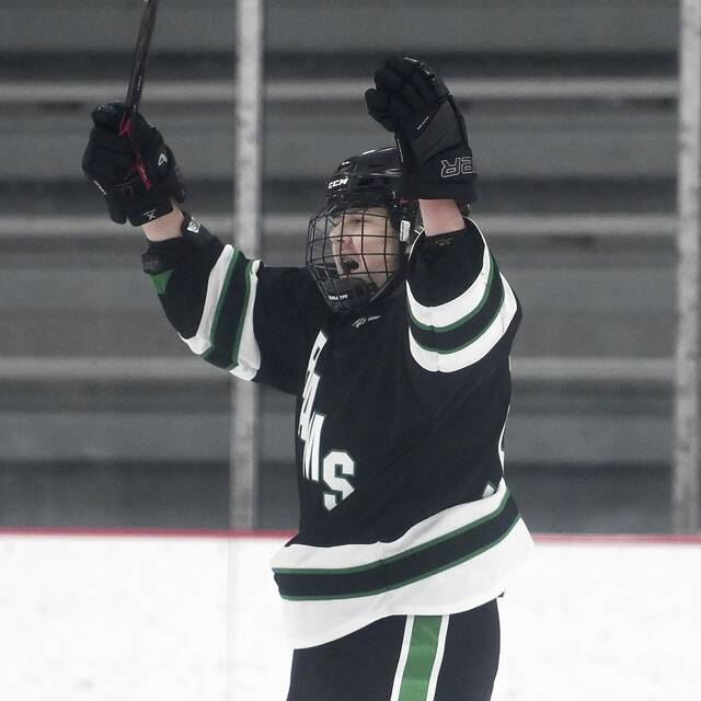 Pine-Richland hockey finds recipe for success with power play, defense