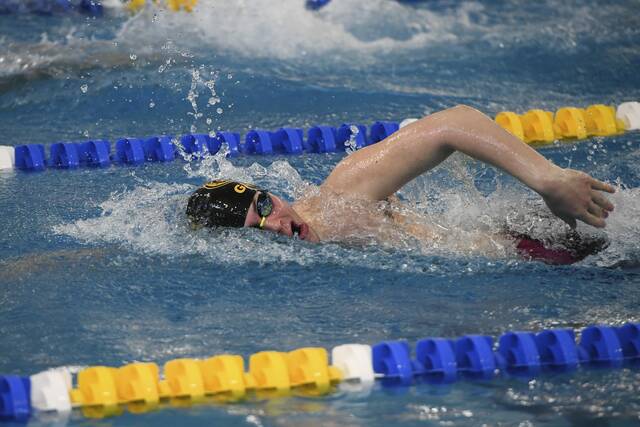 Gateway swimmers find success at WPIAL meet, earn berths to state competition