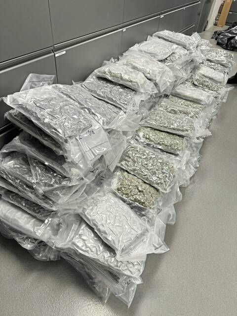 7138242_web1_gtr-marijuanabust