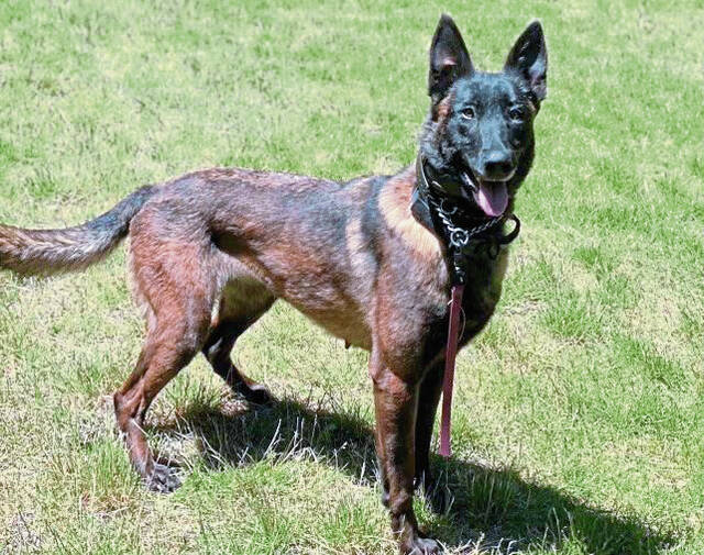 7139180_web1_vnd-K9expansion-011923-4