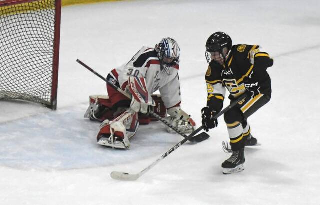 Greensburg Salem upsets Shaler, heads to Penguins Cup final vs. Chartiers Valley