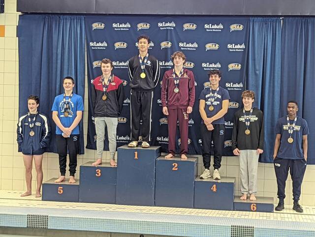 Seneca Valley senior goes out on top with PIAA diving gold