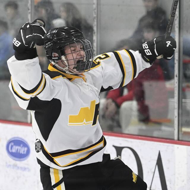 North Allegheny notebook: Tigers hockey team advances to PIHL finals