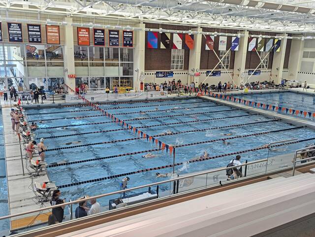 Mt. Lebanon’s Sylvia Roy, North Allegheny’s Natalie Sens earn top times at PIAA swimming Day 2 prelims