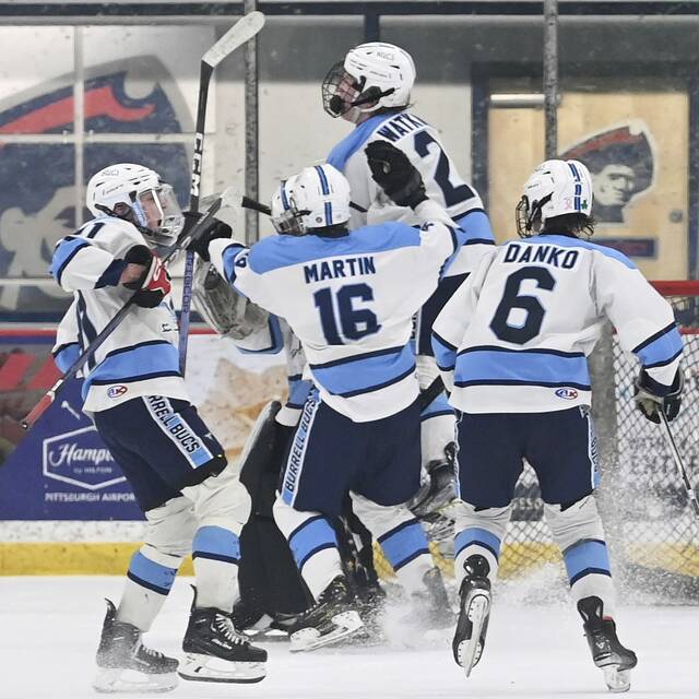 Burrell stops rival Deer Lakes, earns date with Neshannock in PIHL Division 2 finals