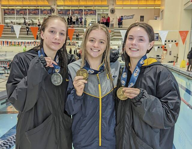 Tigers still populate podium after North Allegheny reign ends in PIAA Class 3A girls diving