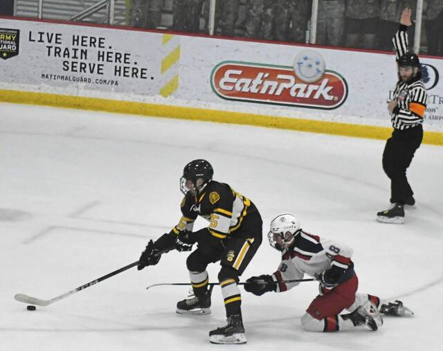 Westmoreland County high school notebook: Hockey teams join madness