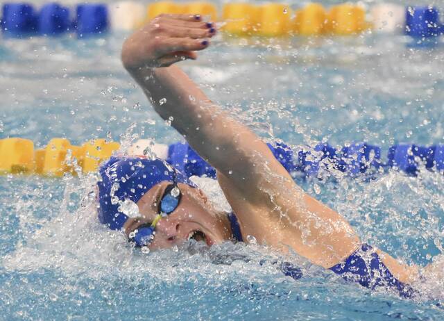 WPIAL swimmers in good position after Class 2A preliminary swims at PIAA meet