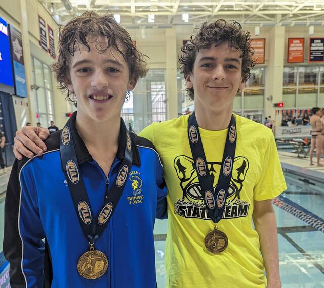 Blackhawk, Derry divers medal at PIAA Class 2A championships