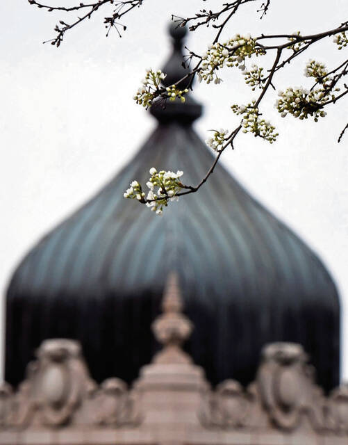 7159503_web1_gtr-springallergy005-031924