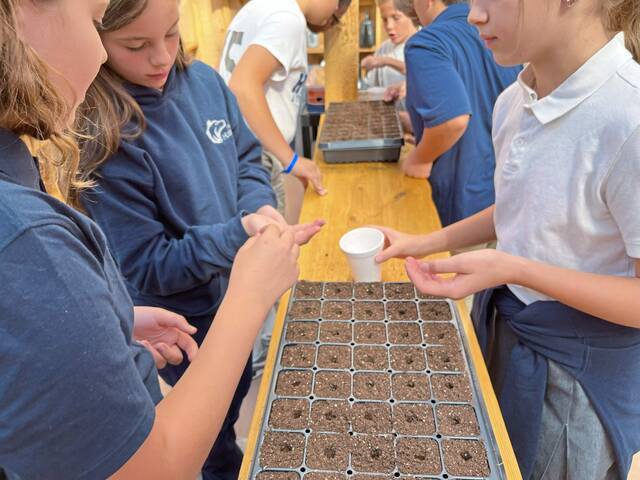 7163600_web1_vnd-harvestgreenhouse2-032224