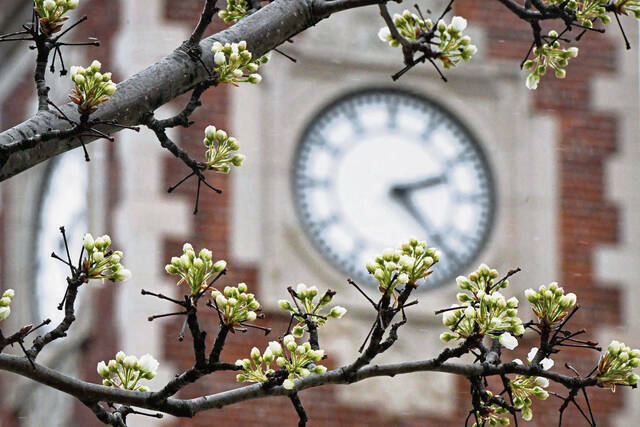 7166417_web1_7159503_web1_gtr-springallergy004-031924