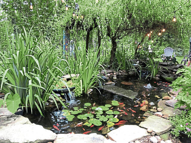 7171547_web1_pondphoto