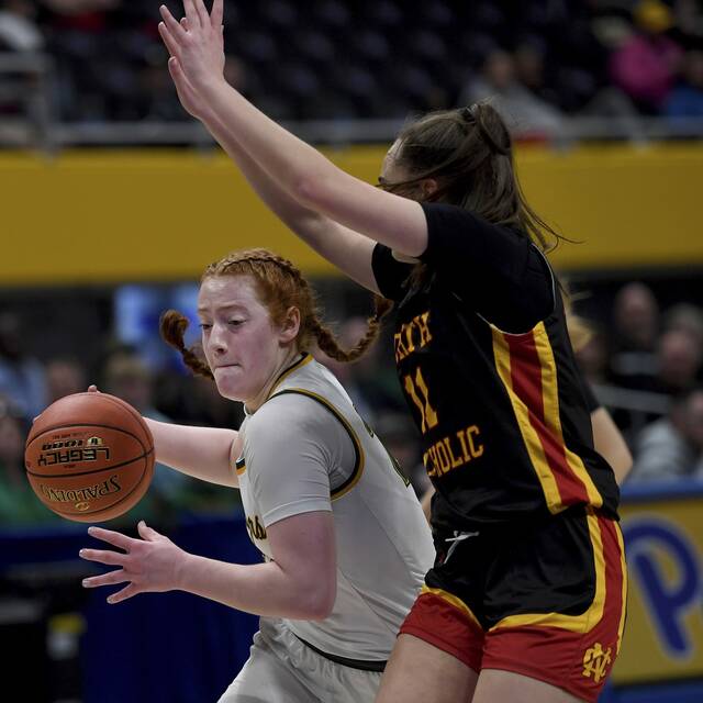 PIAA Class 4A girls basketball championship preview: Blackhawk vs. Scranton Prep