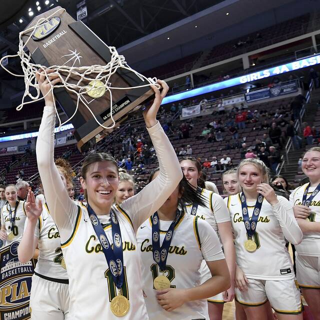Blackhawk finds redemption in Hershey, wins PIAA girls basketball title with 1st-year coach