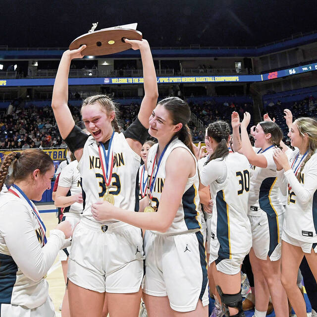 Norwin’s Lauren Palangio tops list of TribLive Westmoreland girls basketball all-stars