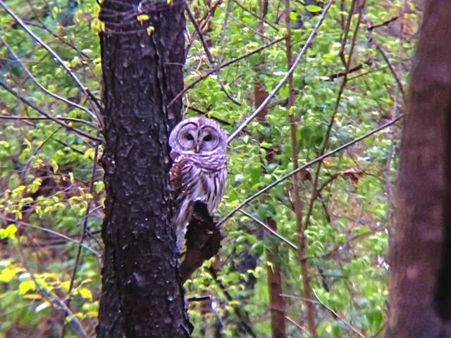 7189910_web1_naj-citynaturechallenge-040424-1