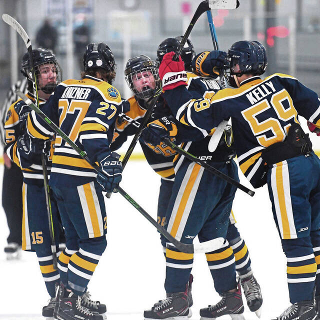 Franklin Regional hockey coach disappointed after being ousted
