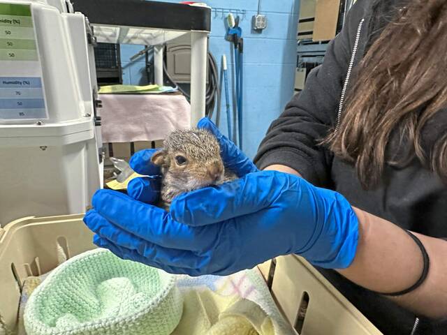 7203626_web1_php-AnimalRescue-040224--10-