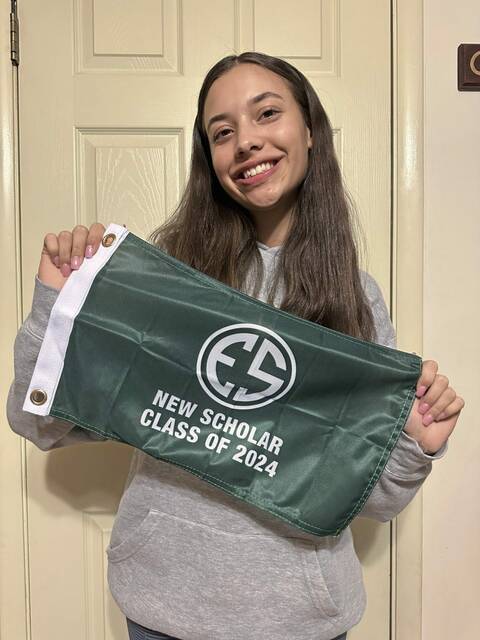 Westmoreland County high school notebook: Caddying pays off for Norwin senior