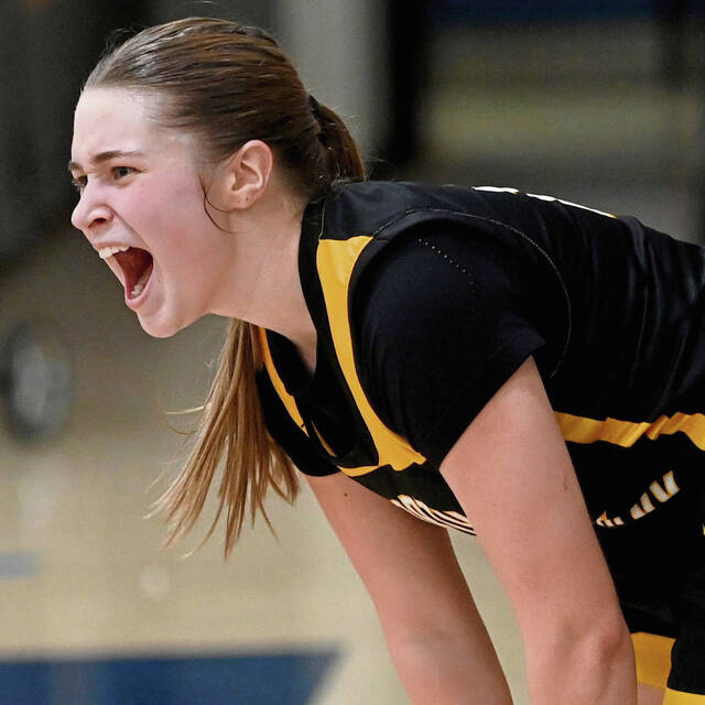 North Allegheny notebook: Tigers to be well-represented as host of Roundball Classic