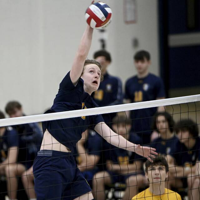 After taste of success, Norwin volleyball wants more