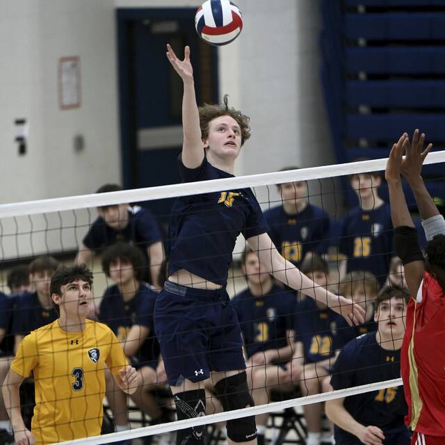 High school roundup for April 11, 2024: Shaler baseball, Latrobe softball earn wet wins