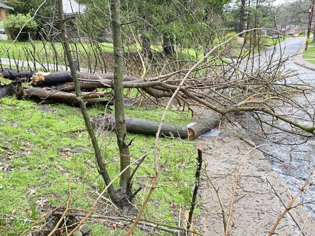 7240430_web1_ptr-flood2-041324.jfif