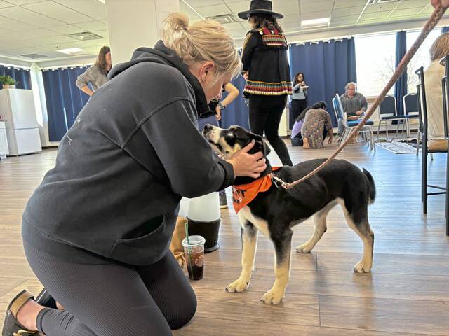7246599_web1_vnd-recoverypets-041524--1-