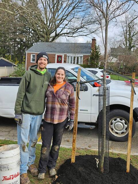 7251683_web1_pal-TreeCity-041724