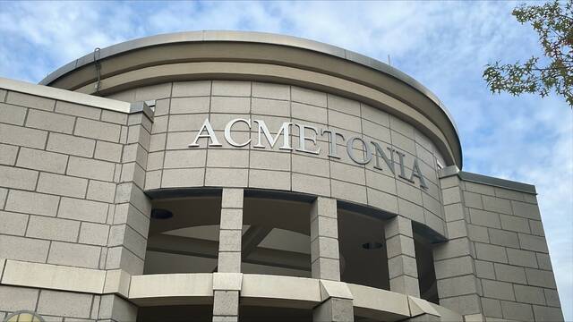 7251806_web1_vnd-AcmetoniaElementary4-100723
