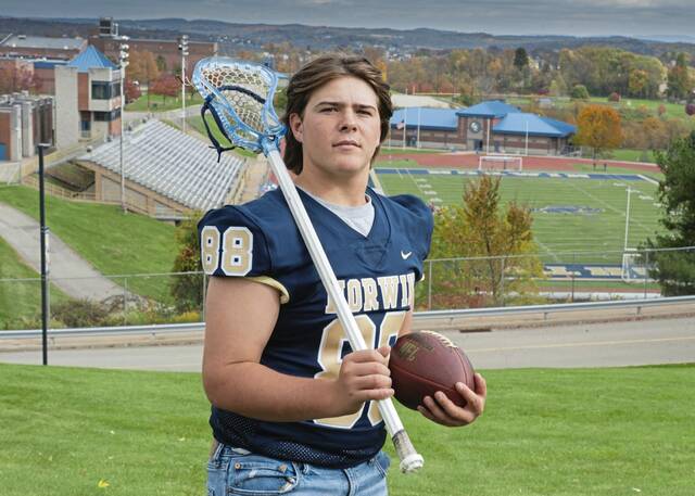 Norwin lacrosse standout earns spot on Hungarian national team