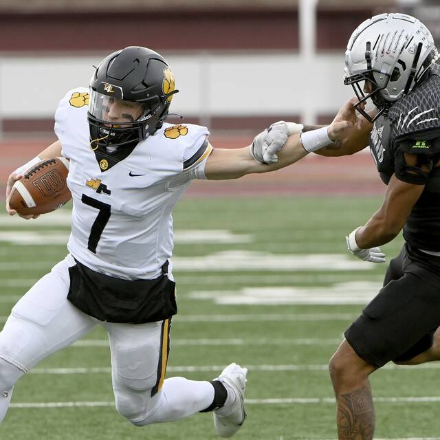 North Allegheny notebook: Logan Kushner named WPIAL scholar-athlete award winner