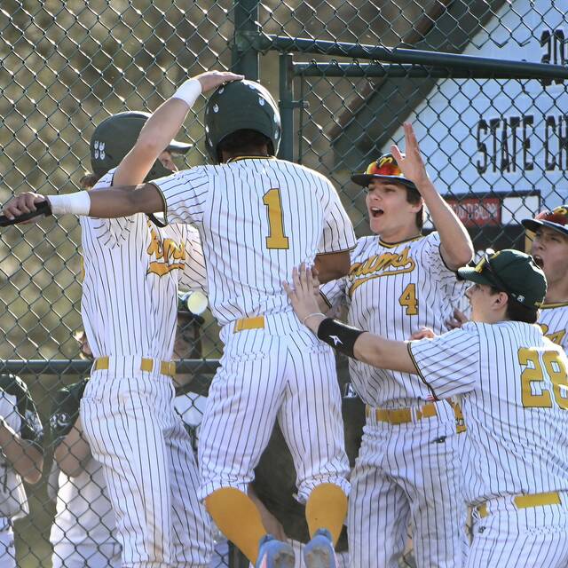 Trib HSSN baseball team of the week for April 21, 2024